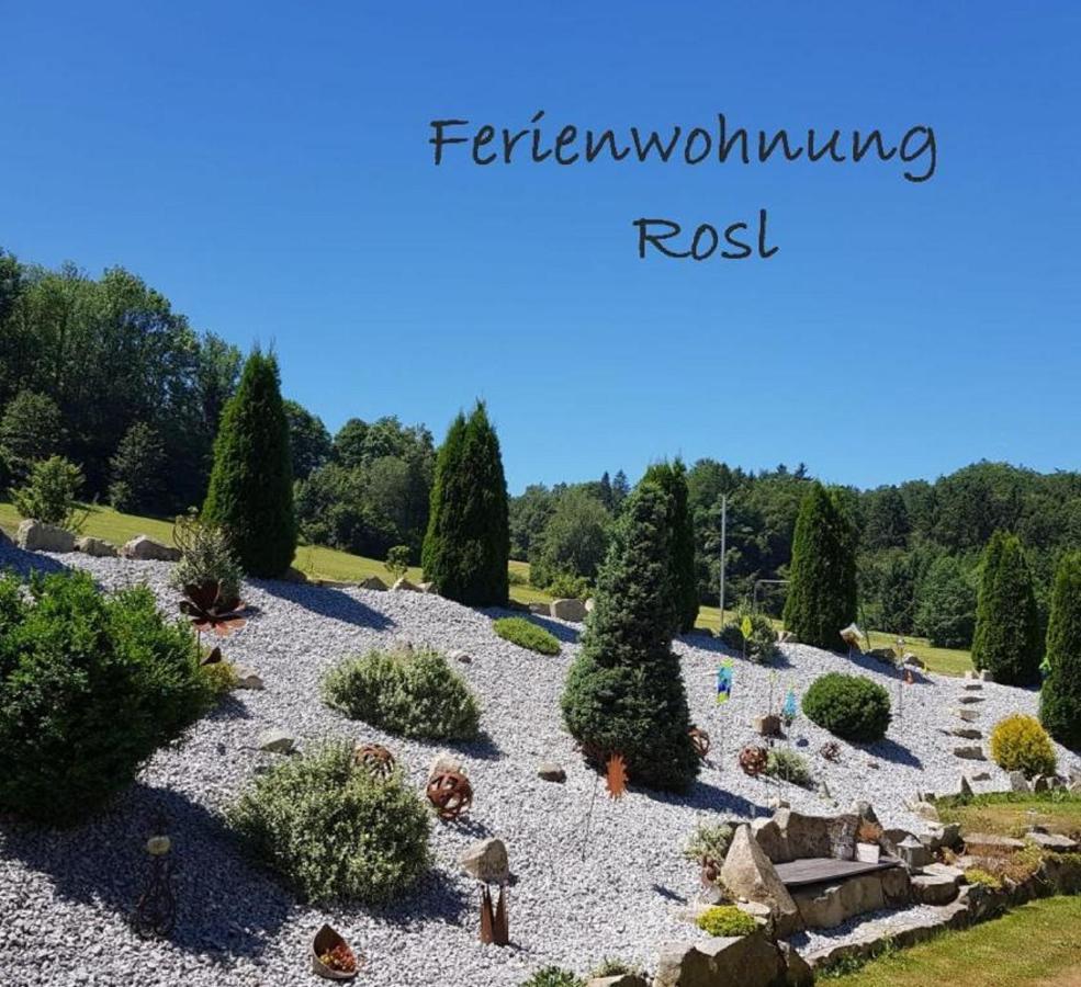 Ferienwohnung Rosl Waldkirchen Eksteriør billede
